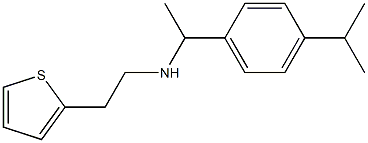 {1-[4-(propan-2-yl)phenyl]ethyl}[2-(thiophen-2-yl)ethyl]amine Struktur