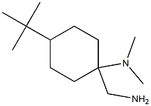 1-(aminomethyl)-4-tert-butyl-N,N-dimethylcyclohexan-1-amine Struktur