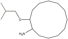 2-(2-methylpropoxy)cyclododecan-1-amine Struktur