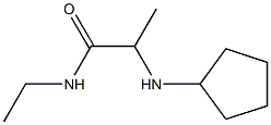 2-(cyclopentylamino)-N-ethylpropanamide Struktur