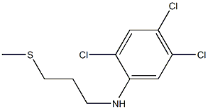 2,4,5-trichloro-N-[3-(methylsulfanyl)propyl]aniline Struktur