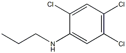 2,4,5-trichloro-N-propylaniline Struktur