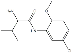 2-amino-N-(5-chloro-2-methoxyphenyl)-3-methylbutanamide Struktur