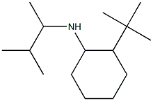 2-tert-butyl-N-(3-methylbutan-2-yl)cyclohexan-1-amine Struktur