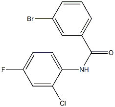 3-bromo-N-(2-chloro-4-fluorophenyl)benzamide Struktur