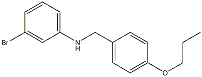 3-bromo-N-[(4-propoxyphenyl)methyl]aniline Structure