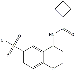 4-cyclobutaneamido-3,4-dihydro-2H-1-benzopyran-6-sulfonyl chloride Struktur