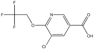 5-chloro-6-(2,2,2-trifluoroethoxy)nicotinic acid Struktur