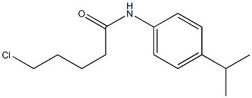 5-chloro-N-[4-(propan-2-yl)phenyl]pentanamide Struktur