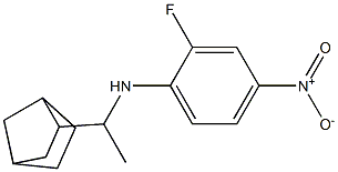 N-(1-{bicyclo[2.2.1]heptan-2-yl}ethyl)-2-fluoro-4-nitroaniline Struktur