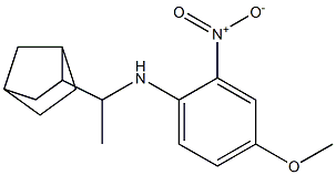 N-(1-{bicyclo[2.2.1]heptan-2-yl}ethyl)-4-methoxy-2-nitroaniline Struktur