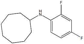 N-(2,4-difluorophenyl)cyclooctanamine Struktur