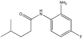 N-(2-amino-4-fluorophenyl)-4-methylpentanamide Struktur