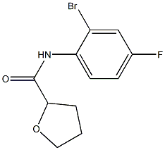 N-(2-bromo-4-fluorophenyl)oxolane-2-carboxamide Struktur