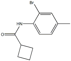 N-(2-bromo-4-methylphenyl)cyclobutanecarboxamide Struktur