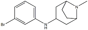 N-(3-bromophenyl)-8-methyl-8-azabicyclo[3.2.1]octan-3-amine Struktur