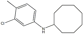 N-(3-chloro-4-methylphenyl)cyclooctanamine Struktur