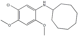 N-(5-chloro-2,4-dimethoxyphenyl)cyclooctanamine Struktur