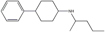 N-(pentan-2-yl)-4-phenylcyclohexan-1-amine Struktur