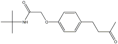 N-(tert-butyl)-2-[4-(3-oxobutyl)phenoxy]acetamide Struktur