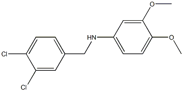 N-[(3,4-dichlorophenyl)methyl]-3,4-dimethoxyaniline Struktur