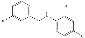 N-[(3-bromophenyl)methyl]-2,4-dichloroaniline Struktur