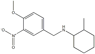 N-[(4-methoxy-3-nitrophenyl)methyl]-2-methylcyclohexan-1-amine Struktur