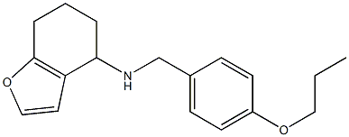 N-[(4-propoxyphenyl)methyl]-4,5,6,7-tetrahydro-1-benzofuran-4-amine Struktur