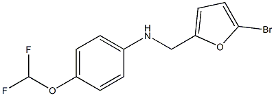 N-[(5-bromofuran-2-yl)methyl]-4-(difluoromethoxy)aniline Struktur