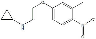 N-[2-(3-methyl-4-nitrophenoxy)ethyl]cyclopropanamine Struktur