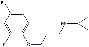 N-[3-(4-bromo-2-fluorophenoxy)propyl]cyclopropanamine Struktur