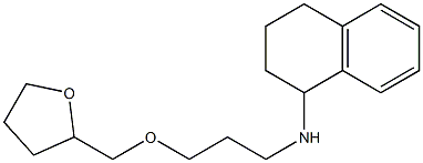 N-[3-(oxolan-2-ylmethoxy)propyl]-1,2,3,4-tetrahydronaphthalen-1-amine Struktur