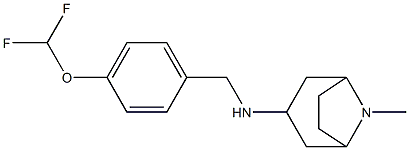 N-{[4-(difluoromethoxy)phenyl]methyl}-8-methyl-8-azabicyclo[3.2.1]octan-3-amine Struktur