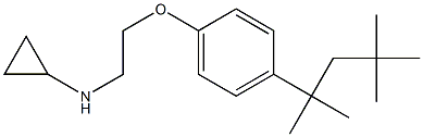 N-{2-[4-(2,4,4-trimethylpentan-2-yl)phenoxy]ethyl}cyclopropanamine Struktur