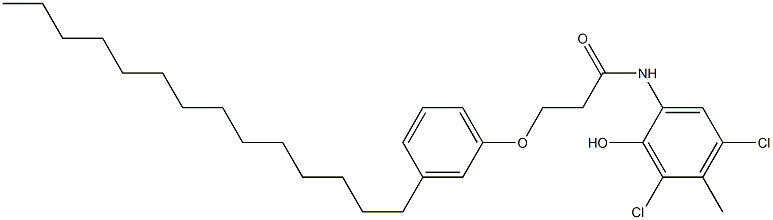 2-[3-(3-Tetradecylphenoxy)propanoylamino]-4,6-dichloro-5-methylphenol Struktur