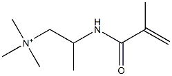 N,N,N-Trimethyl-2-[(2-methyl-1-oxo-2-propenyl)amino]-1-propanaminium Struktur