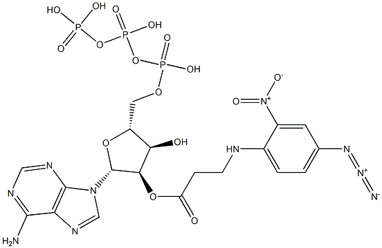 Adenosine 2'-[3-[(4-azido-2-nitrophenyl)amino]propionate]5'-triphosphoric acid Struktur