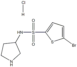 5-Bromo-thiophene-2-sulfonic acid pyrrolidin-3-ylamide hydrochloride Struktur