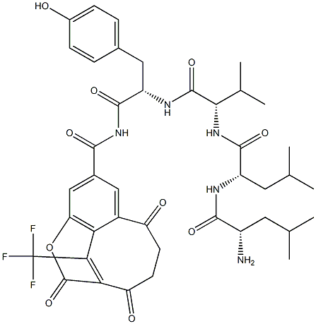 succinyl-leucyl-leucyl-valyl-tyrosyl-4-trifluoromethylcoumarin-7-amide Struktur