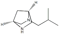 (1S,4S)-2-Isobutyl-2,5-diaza-bicyclo[2.2.1]heptane Struktur