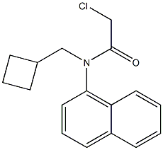 2-chloro-N-(cyclobutylmethyl)-N-(naphthalen-4-yl)acetamide Struktur