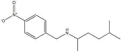 (5-methylhexan-2-yl)[(4-nitrophenyl)methyl]amine Struktur