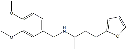 [(3,4-dimethoxyphenyl)methyl][4-(furan-2-yl)butan-2-yl]amine Struktur