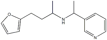 [4-(furan-2-yl)butan-2-yl][1-(pyridin-3-yl)ethyl]amine Struktur