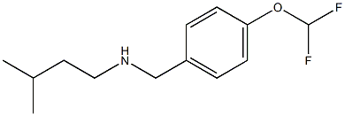 {[4-(difluoromethoxy)phenyl]methyl}(3-methylbutyl)amine Struktur