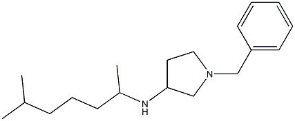 1-benzyl-N-(6-methylheptan-2-yl)pyrrolidin-3-amine Struktur