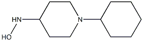 1-cyclohexylpiperidine-4-hydroxylamine Struktur