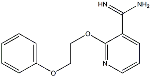 2-(2-phenoxyethoxy)pyridine-3-carboximidamide Struktur