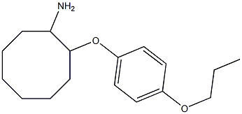 2-(4-propoxyphenoxy)cyclooctan-1-amine Struktur