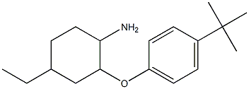 2-(4-tert-butylphenoxy)-4-ethylcyclohexan-1-amine Struktur